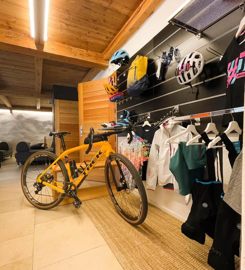 Alp Apartments Ski & Bike - Tourneuve5 アオスタ エクステリア 写真