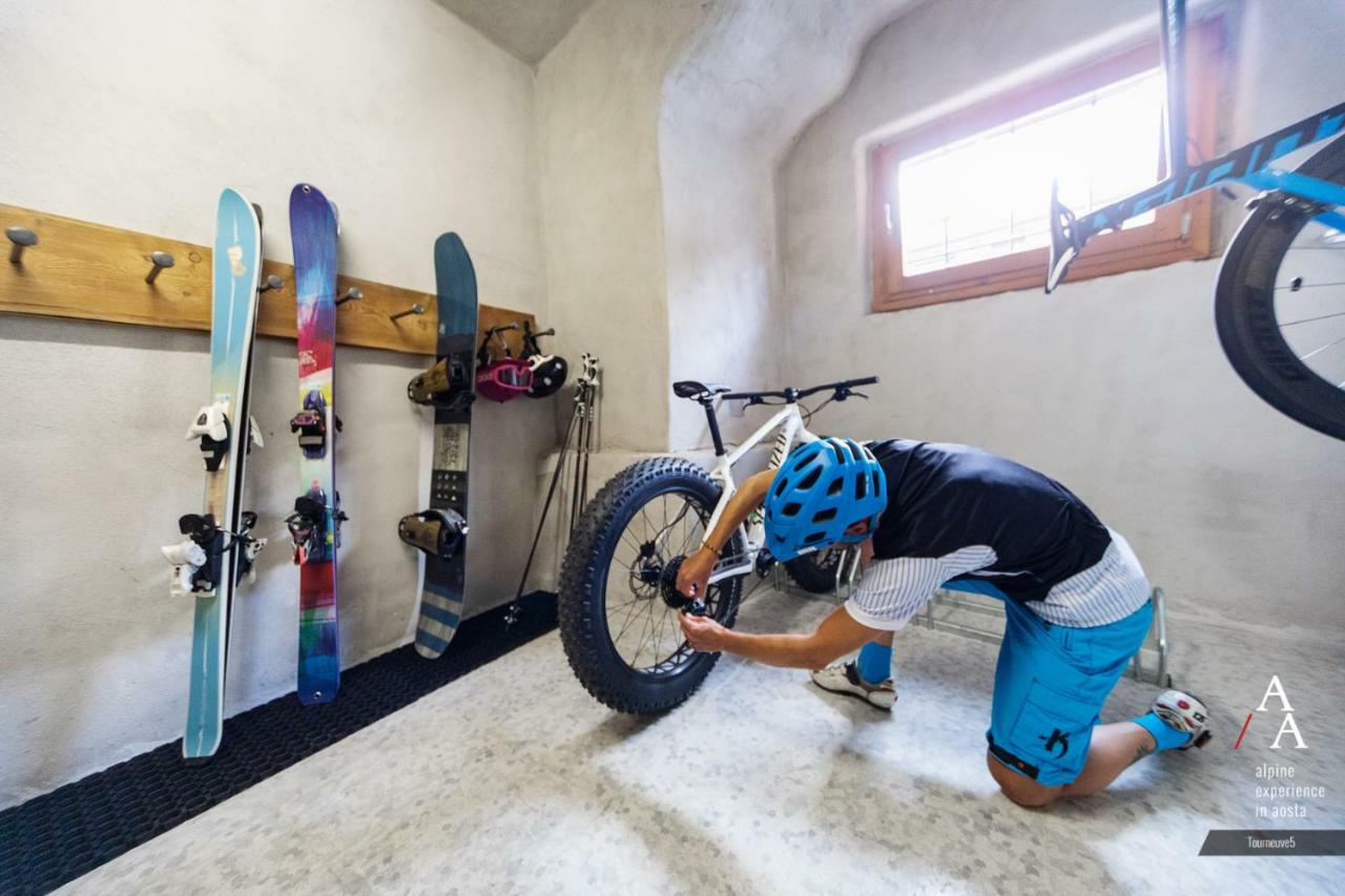 Alp Apartments Ski & Bike - Tourneuve5 アオスタ エクステリア 写真